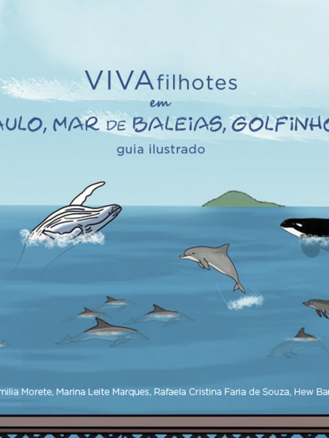 Instagram QUADRADO VIVASP