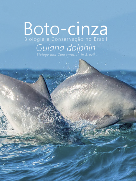 Instagram QUADRADO boto