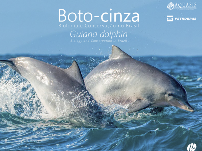 Instagram QUADRADO boto