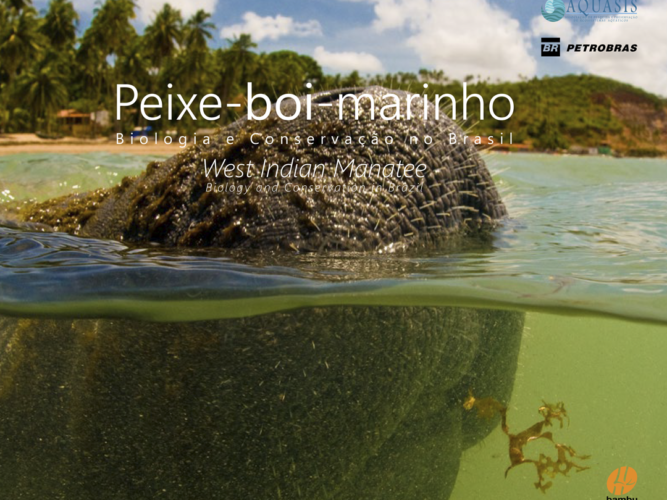 Instagram QUADRADO peixe boi