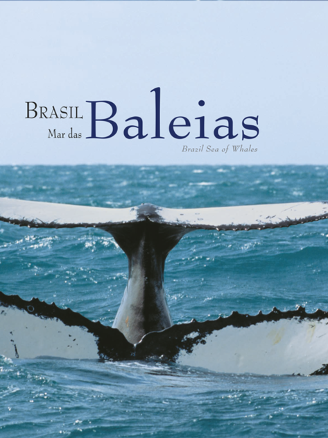 Instagram Quadrado BMB