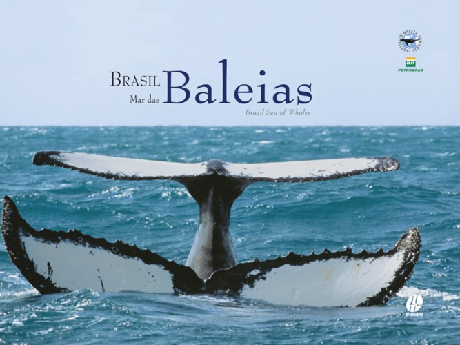 Instagram Quadrado BMB