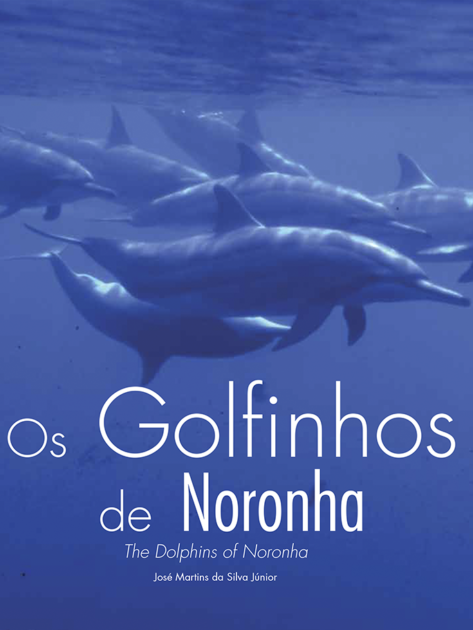 Instagram Quadrado GN