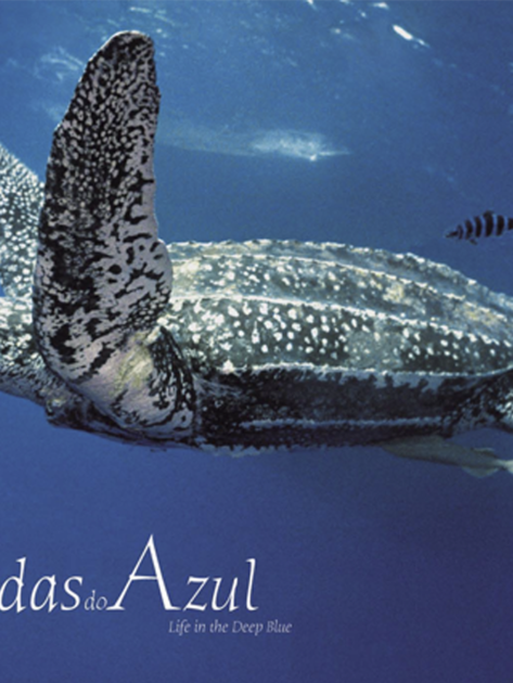 Instagram Quadrado VDA