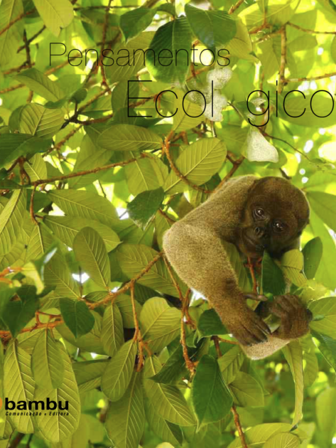 Instagram Quadrado-pensamentos