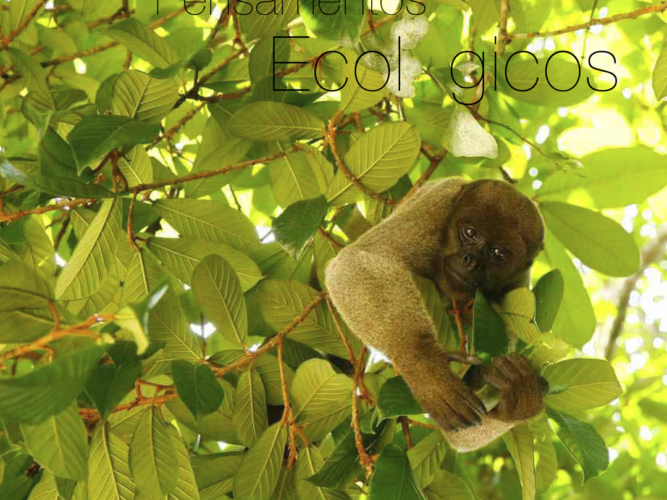 Instagram Quadrado-pensamentos