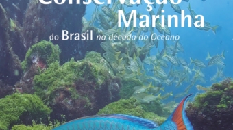 WhatsApp Image 2026-03-16 at 21.08.51