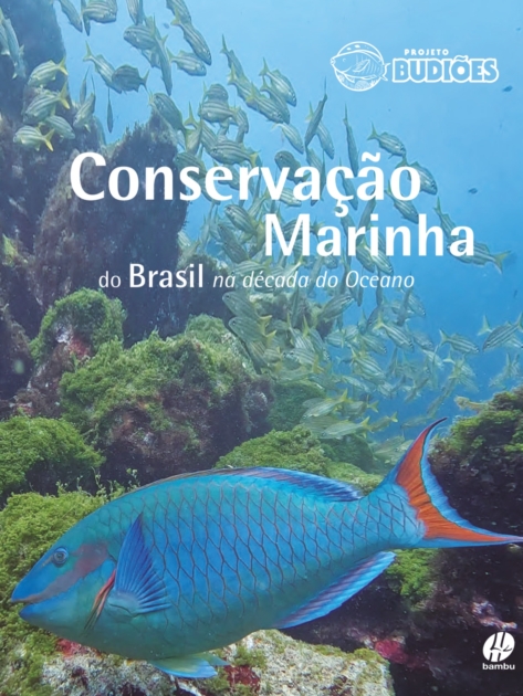 WhatsApp Image 2026-03-16 at 21.08.51