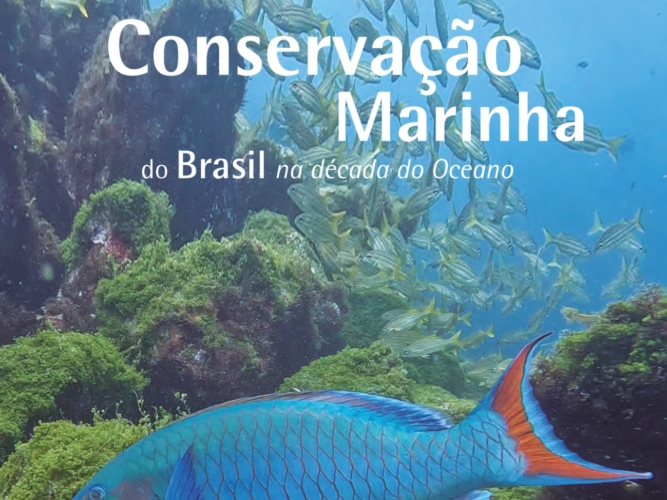 WhatsApp Image 2026-03-16 at 21.08.51