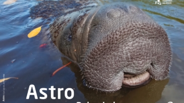 WhatsApp Image 2026-03-16 at 21.08.56