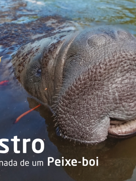 WhatsApp Image 2026-03-16 at 21.08.56