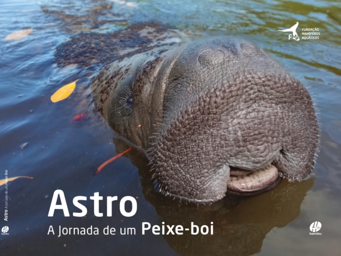 WhatsApp Image 2026-03-16 at 21.08.56